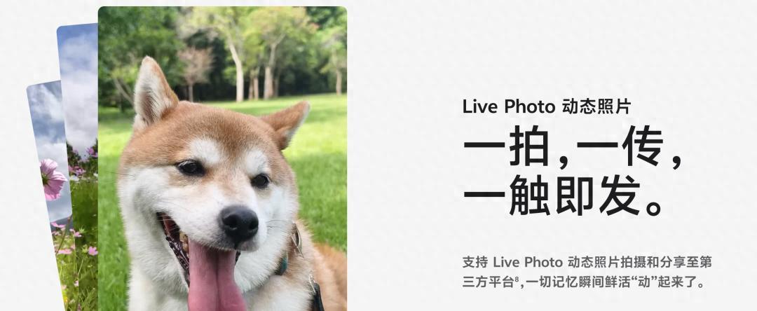 啧啧，微信刚刚这波更新，安卓鸿蒙又要傻眼了  第1张