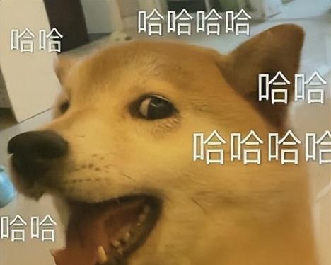 啧啧，微信刚刚这波更新，安卓鸿蒙又要傻眼了  第8张