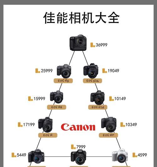 港版佳能相机序列号如何查询？查询步骤是什么？  第3张