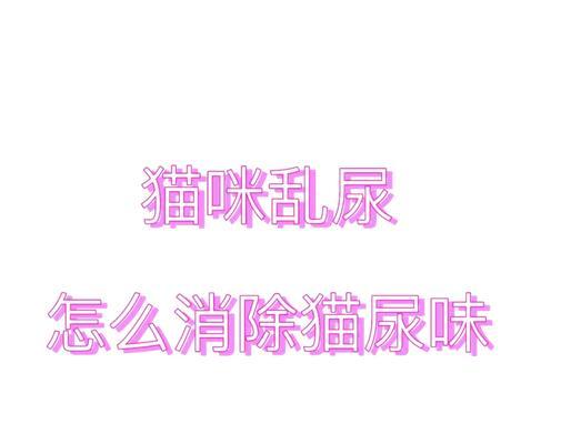 显卡沾上猫尿后如何清洗？  第2张