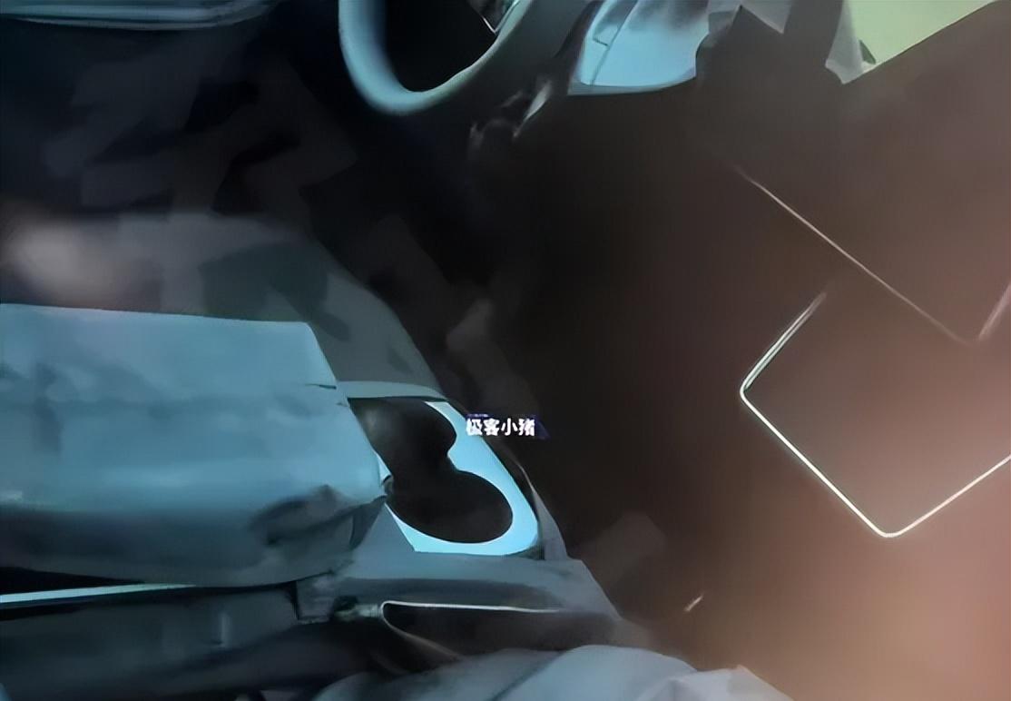 廉价版ModelY实车曝光，玻璃顶和灯带真的没有了！  第3张