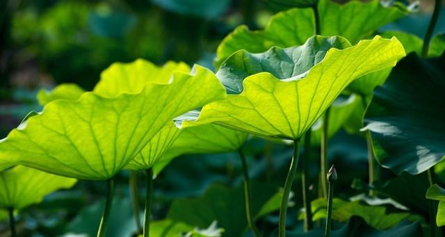 河北！大范围降雨来到！中雨、大雨、暴雨！具体分布在如下！  第11张
