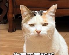 特斯拉预热新功能，能边开车边打游戏了？  第14张