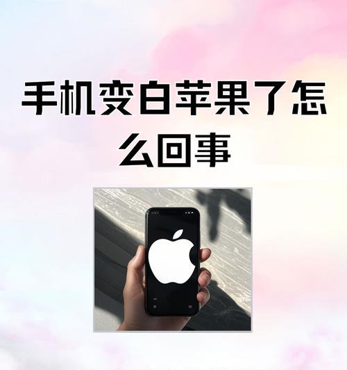 手机白苹果病毒破解方法（手机遭遇白苹果状态开不了机）  第2张