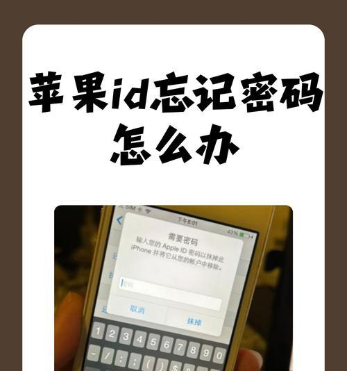 忘记苹果密码怎么办？详解密码重置方法  第2张