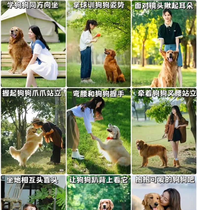 如何将狗装在相机上拍摄视频？拍摄过程中需要注意什么？  第2张