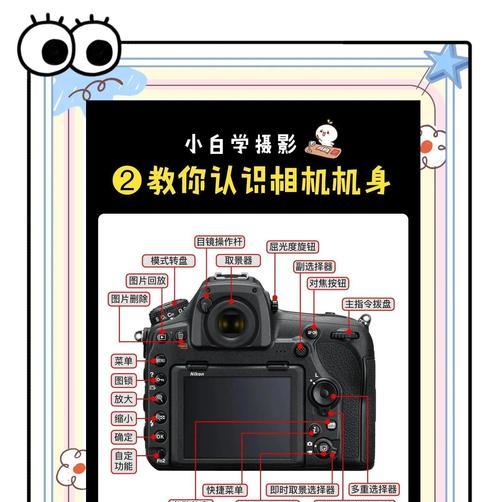 走动视频相机的使用方法是什么？  第1张