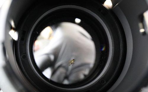 哪种摄像头可以用来拍苍蝇? 第3张 哪种摄像头可以用来拍苍蝇? 第3张