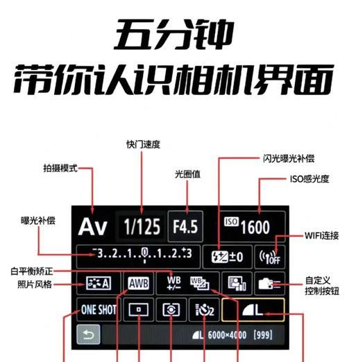 如何调整相机虚化效果（让你的照片更有艺术感）  第2张