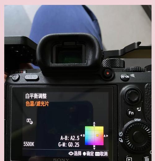 如何调整相机虚化效果（让你的照片更有艺术感）  第1张