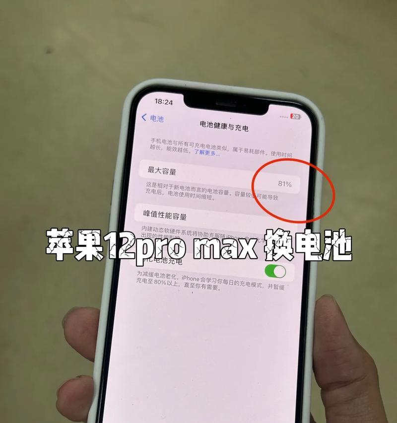 如何判断是否需要更换苹果电池(以苹果电池81%为例) 第3张 如何判断是否需要更换苹果电池(以苹果电池81%为例) 第3张