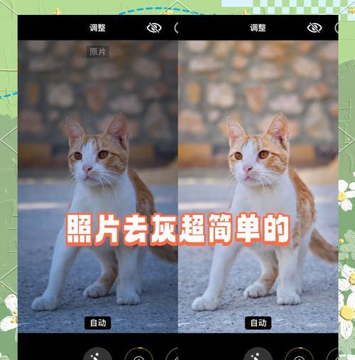 相机拍照后如何还原原始色彩？有哪些技巧可以提高照片质量？  第2张