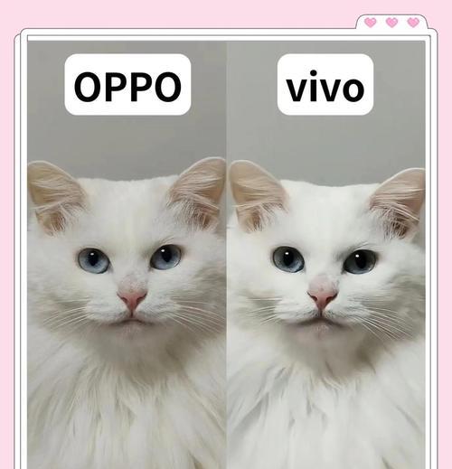 OPPO与vivo（探究OPPO和vivo的关系及竞争模式）  第3张
