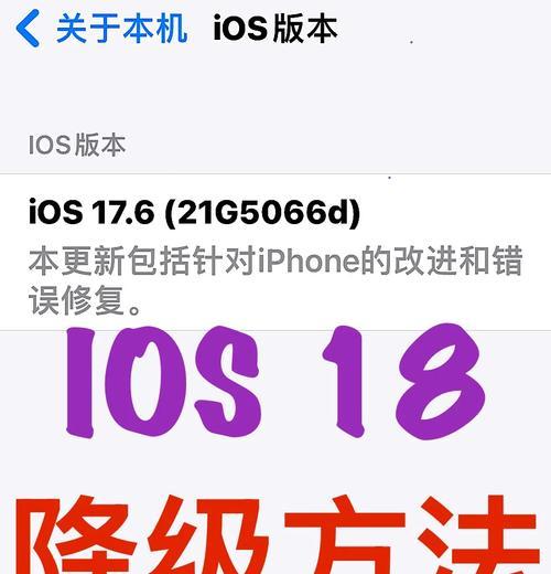 iOS系统降级教程（解锁设备限制）  第2张