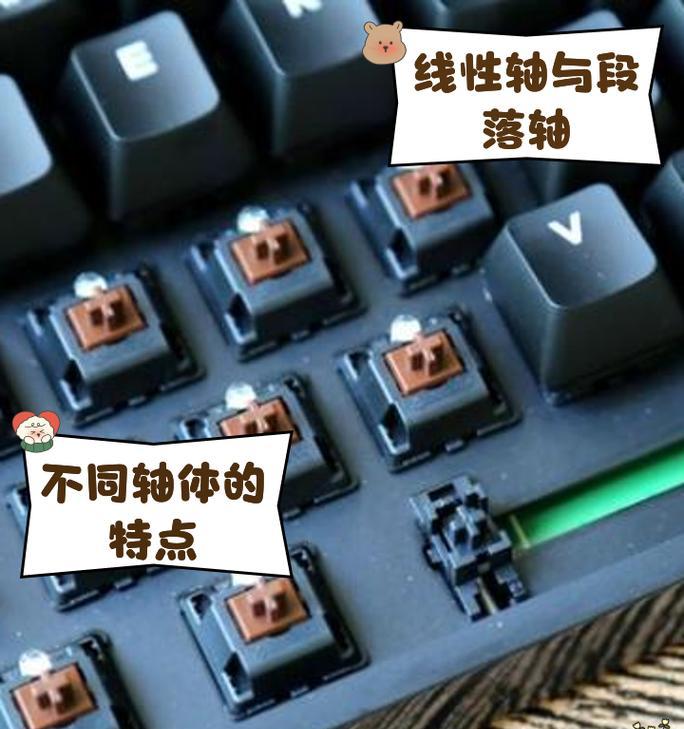 如何正确拆卸机械键盘轴(轻松掌握机械键盘拆轴技巧) 第3张 如何正确拆卸机械键盘轴(轻松掌握机械键盘拆轴技巧) 第3张