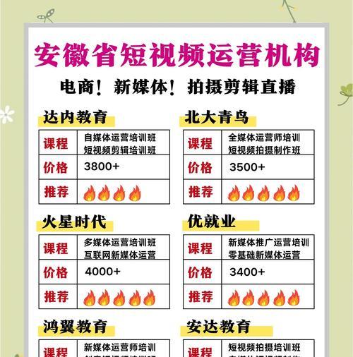 短视频运营课程让你事半功倍（学会短视频运营）  第3张