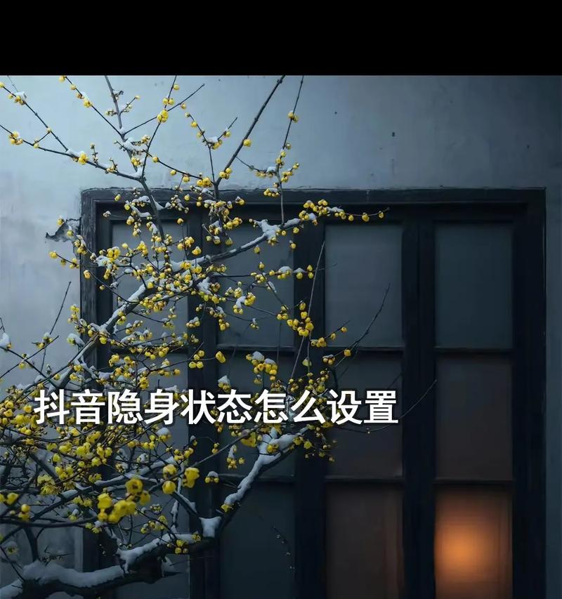 如何在抖音直播中隐藏直播记录（保护隐私）  第2张