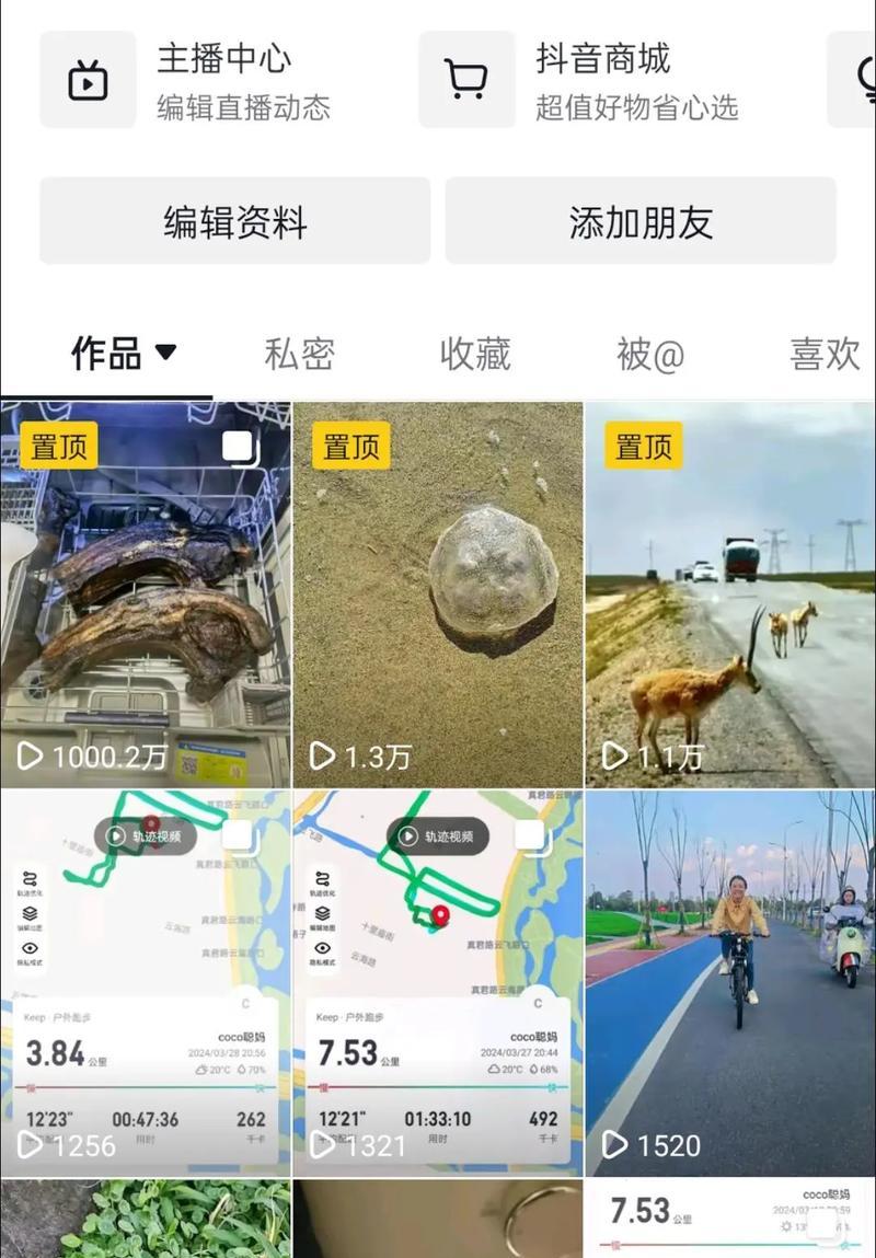 探究抖音为什么看不到别人的作品数量(深入了解抖音作品数量不显示的原因及解决方法) 第1张 探究抖音为什么看不到别人的作品数量(深入了解抖音作品数量不显示的原因及解决方法) 第1张