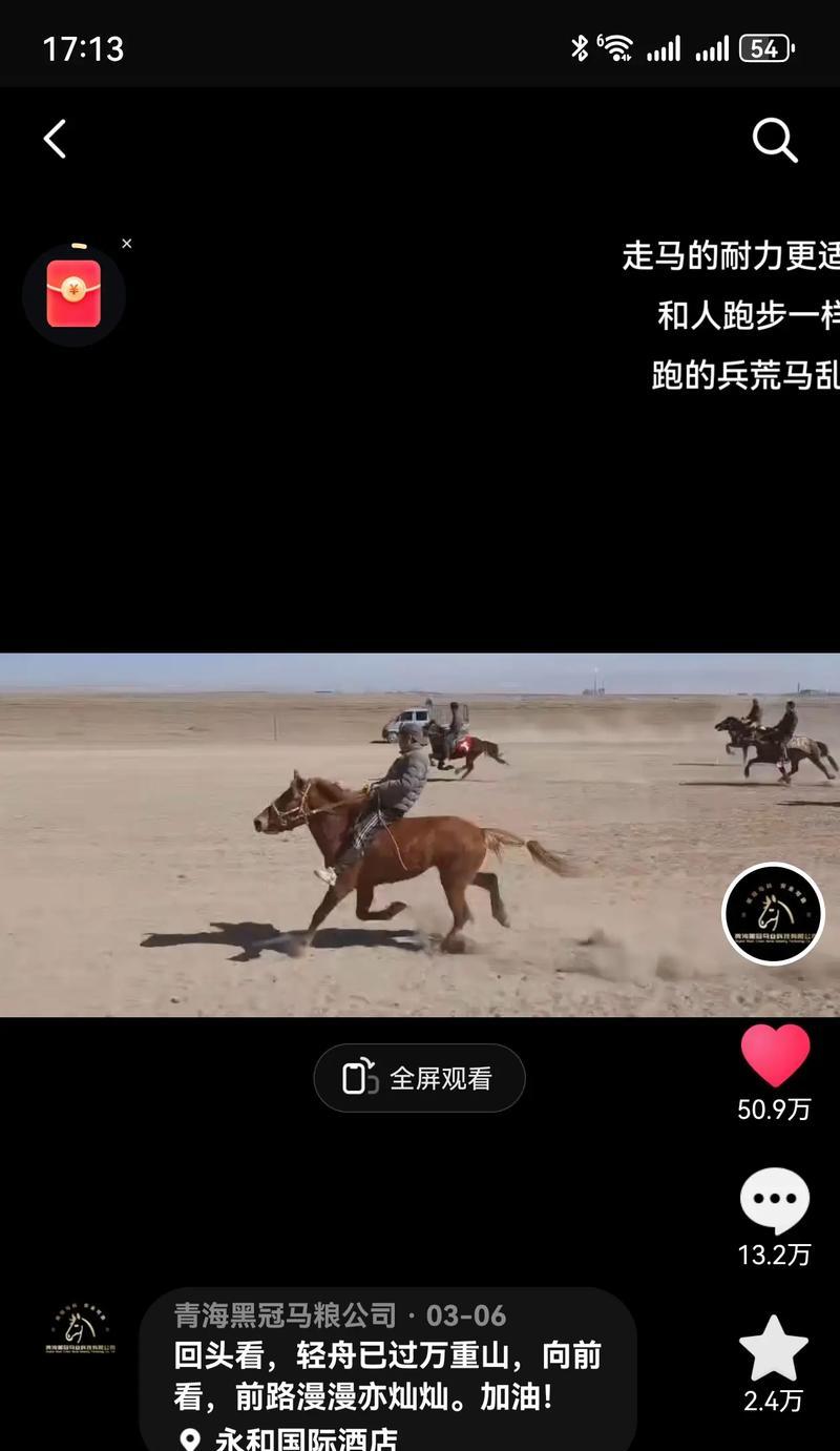 探究抖音为什么看不到别人的作品数量(深入了解抖音作品数量不显示的原因及解决方法) 第3张 探究抖音为什么看不到别人的作品数量(深入了解抖音作品数量不显示的原因及解决方法) 第3张